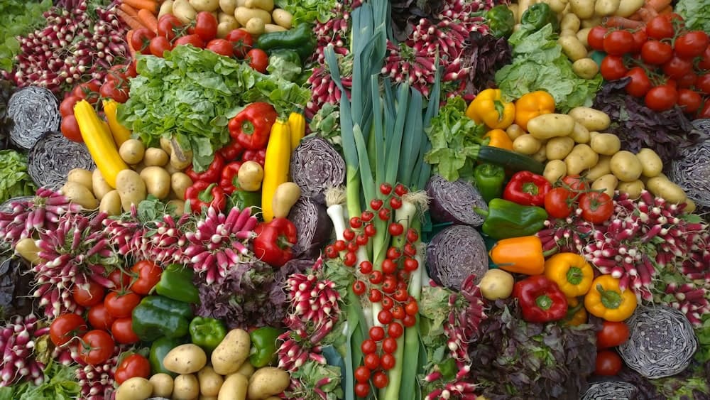 Vegetables export products